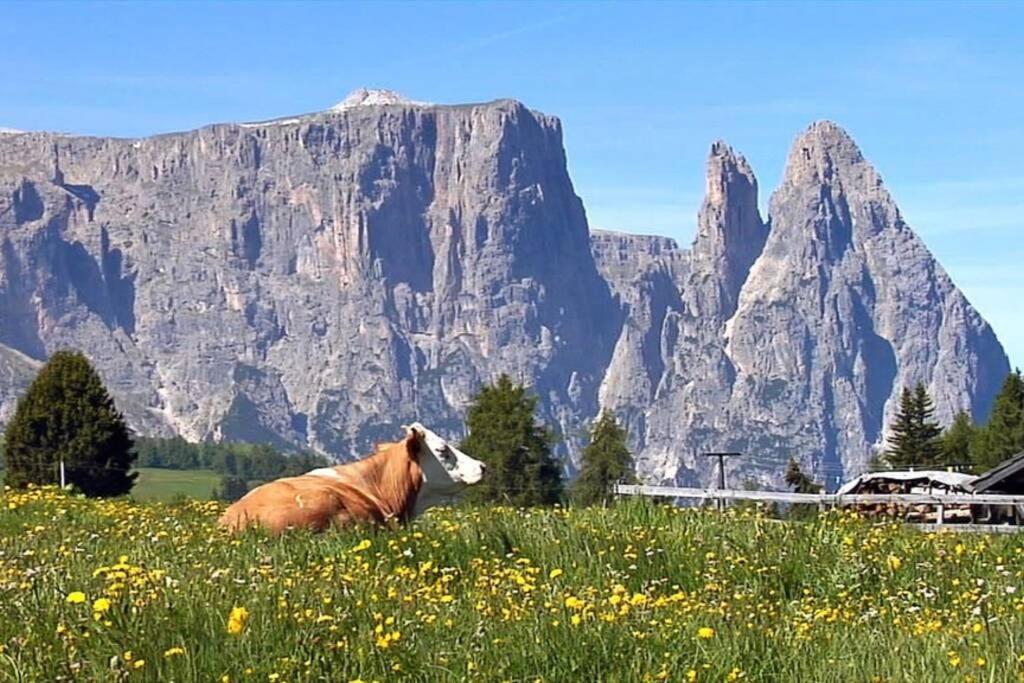 Fantastico Monolocale In Siusi Sciliar Apartment Exterior foto